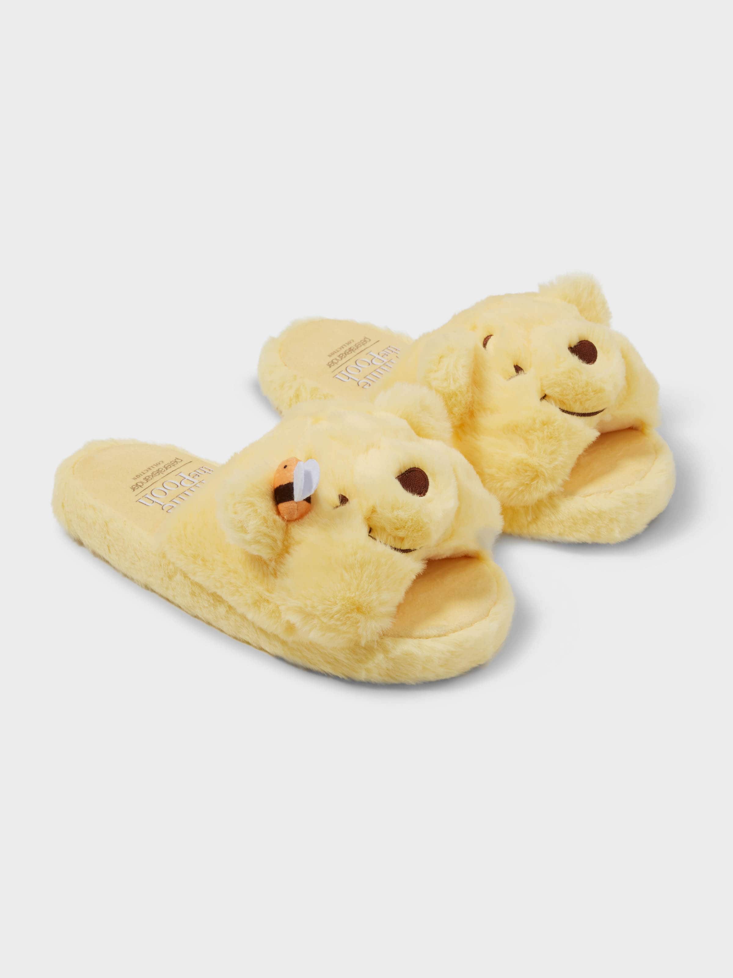 Winnie The Pooh Slide